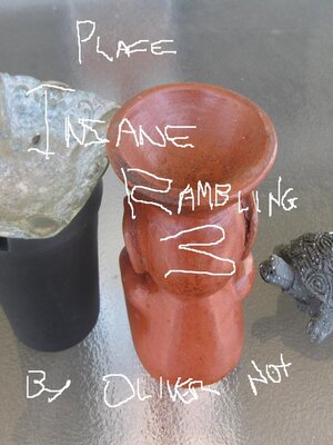 cover image of Insane Remblings 3--Place